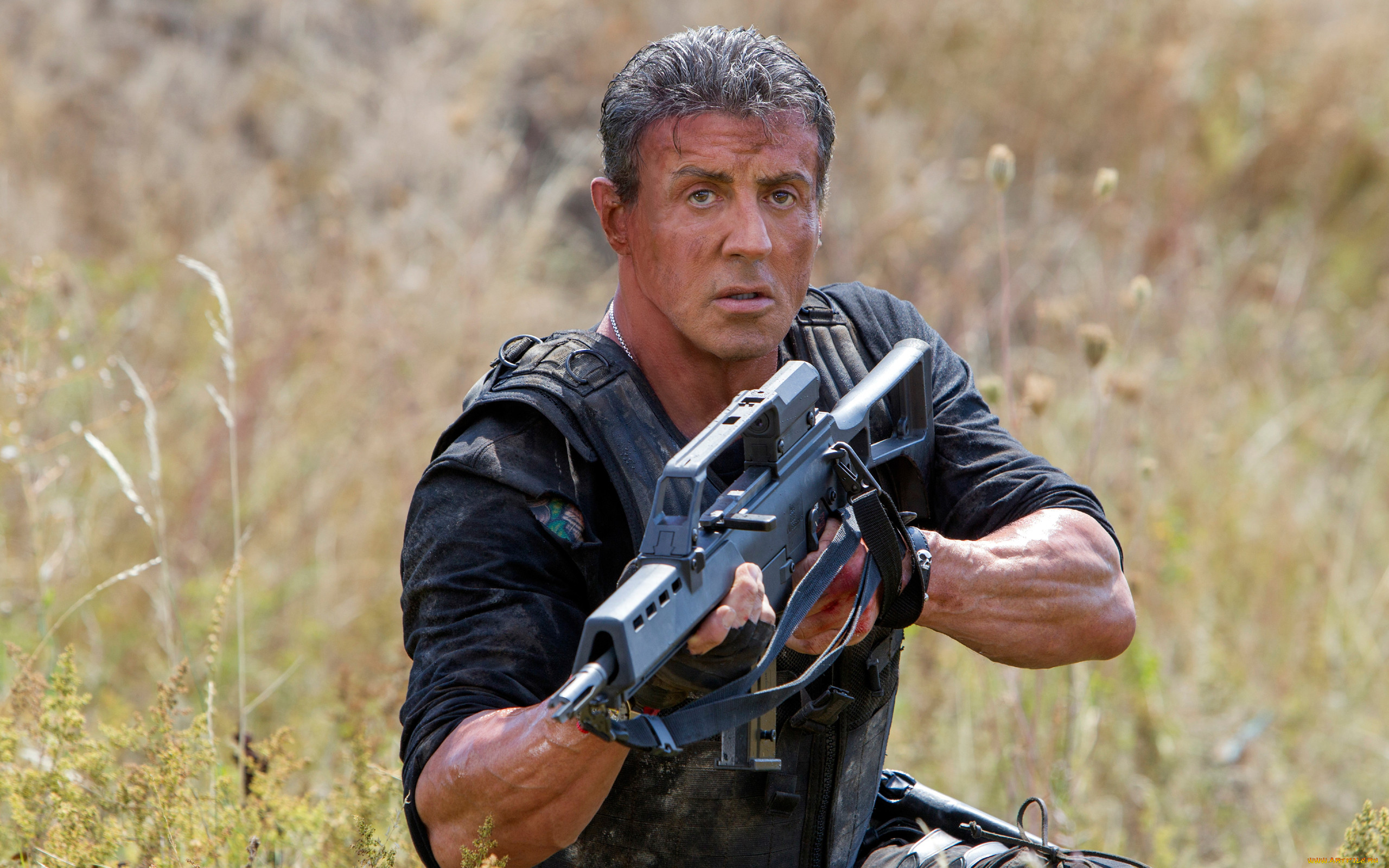 the expendables 3,  , the expendables 2, , 